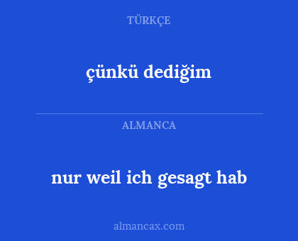 çünkü dediğim - nur weil ich gesagt hab
