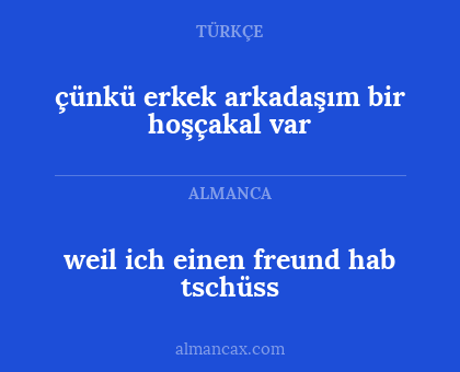 çünkü erkek arkadaşım bir hoşçakal var - weil ich einen freund hab tschüss