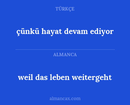 weil das leben weitergeht - çünkü hayat devam ediyor