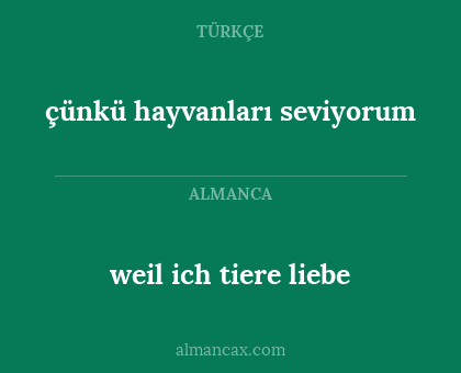 çünkü hayvanları seviyorum - weil ich tiere liebe