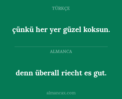 çünkü her yer güzel koksun. - denn überall riecht es gut.