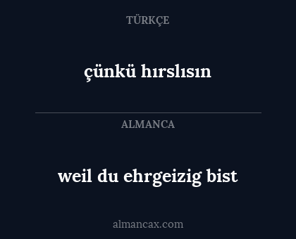 çünkü hırslısın - weil du ehrgeizig bist
