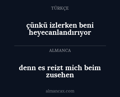 çünkü izlerken beni heyecanlandırıyor - denn es reizt mich beim zusehen