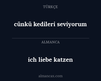 ich liebe katzen - cünkü kedileri seviyorum