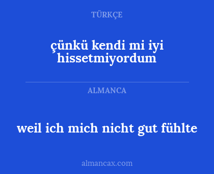 weil ich mich nicht gut fühlte - çünkü kendi mi iyi hissetmiyordum