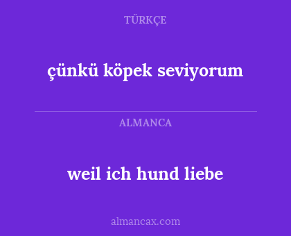 çünkü köpek seviyorum - weil ich hund liebe