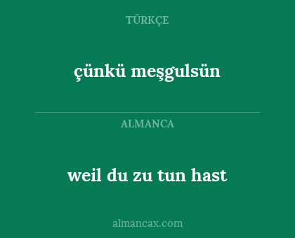 çünkü meşgulsün - weil du zu tun hast