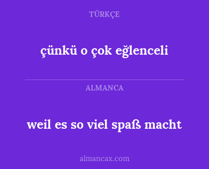çünkü o çok eğlenceli - weil es so viel spaß macht