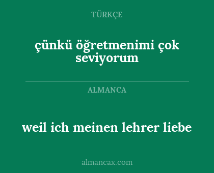 çünkü öğretmenimi çok seviyorum - weil ich meinen lehrer liebe
