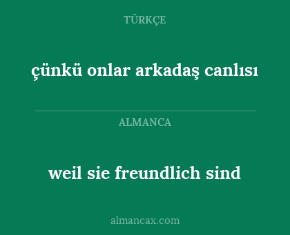 weil sie freundlich sind - çünkü onlar arkadaş canlısı