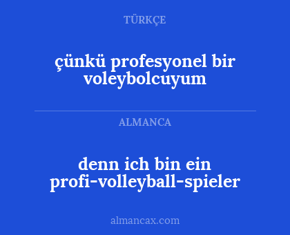 denn ich bin ein profi-volleyball-spieler - çünkü profesyonel bir voleybolcuyum