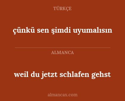 çünkü sen şimdi uyumalısın - weil du jetzt schlafen gehst
