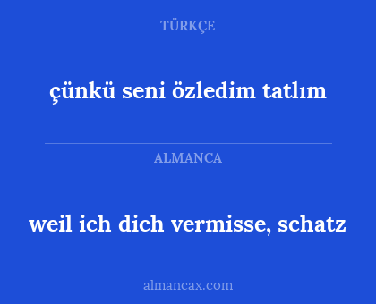 weil ich dich vermisse, schatz - çünkü seni özledim tatlım