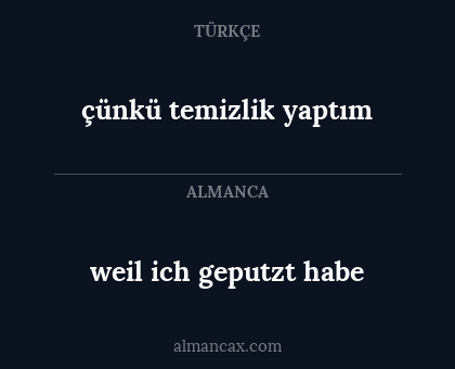 çünkü temizlik yaptım - weil ich geputzt habe