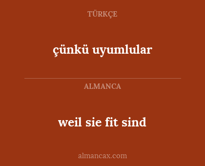 weil sie fit sind - çünkü uyumlular