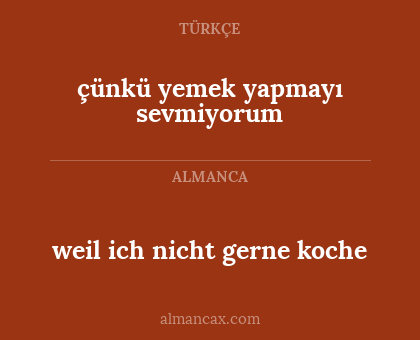 weil ich nicht gerne koche - çünkü yemek yapmayı sevmiyorum