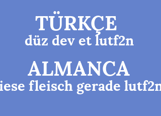 d%C3%BCz+dev+et+lutf2n-riese+fleisch+gerade+lutf2n.png