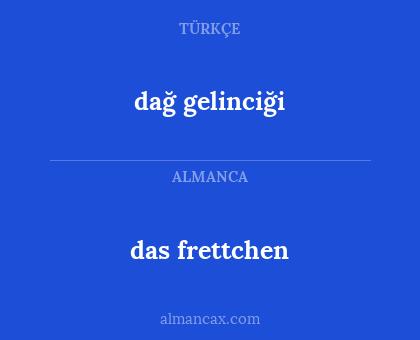 dağ gelinciği - das frettchen