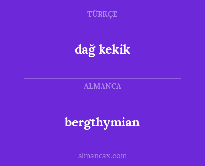 dağ kekik - bergthymian