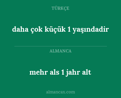 daha çok küçük 1 yaşındadir - mehr als 1 jahr alt