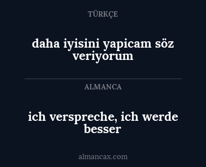 ich verspreche, ich werde besser - daha iyisini yapicam söz veriyorum