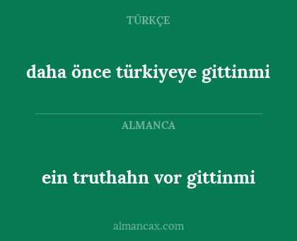 ein truthahn vor gittinmi - daha önce türkiyeye gittinmi
