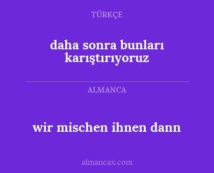 wir mischen ihnen dann - daha sonra bunları karıştırıyoruz