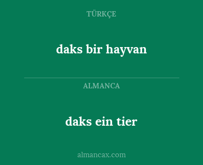 daks bir hayvan - daks ein tier