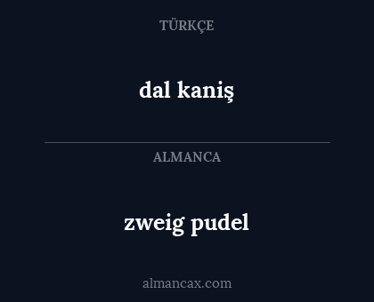 dal kaniş - zweig pudel