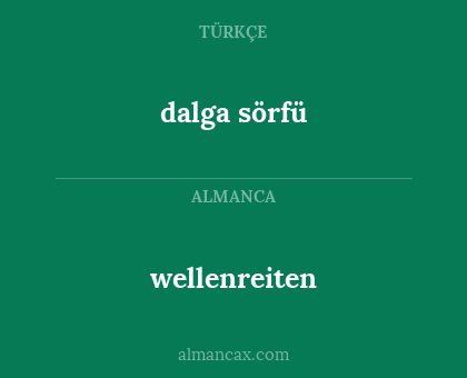 dalga sörfü - wellenreiten