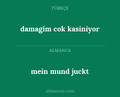 damagim cok kasiniyor - mein mund juckt