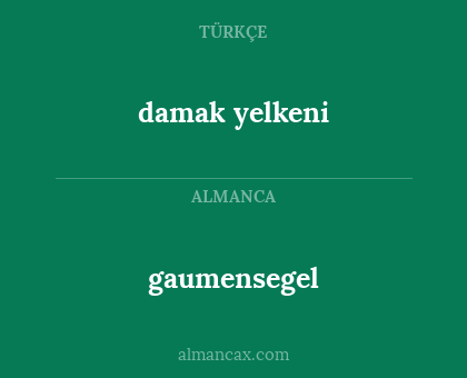 damak yelkeni - gaumensegel