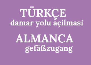 damar+yolu+a%C3%A7ilmasi-gef%C3%A4%C3%9Fzugang.png