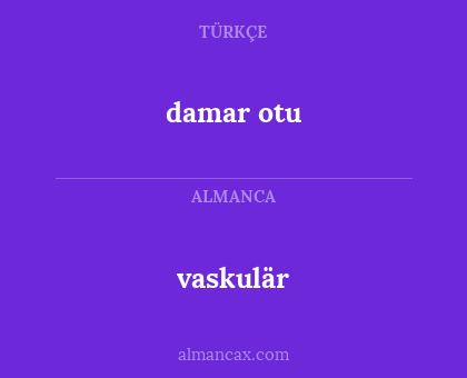 vaskulär - damar otu