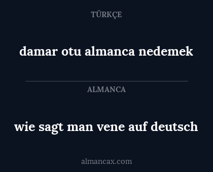 damar otu almanca nedemek - wie sagt man vene auf deutsch