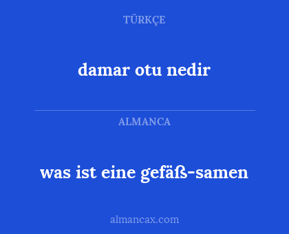 was ist eine gefäß-samen - damar otu nedir
