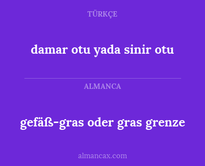 gefäß-gras oder gras grenze - damar otu yada sinir otu