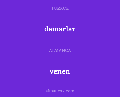 venen - damarlar