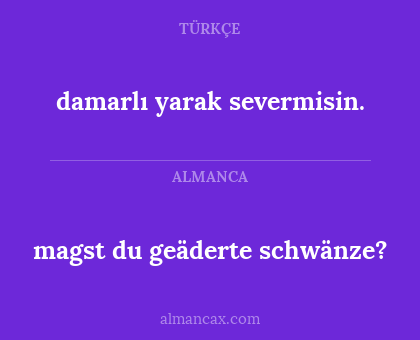 magst du geäderte schwänze? - damarlı yarak severmisin.