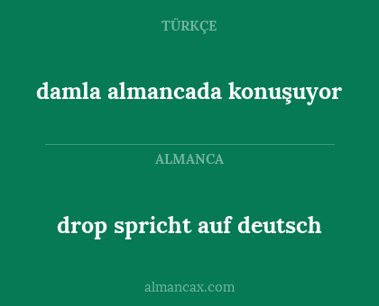 drop spricht auf deutsch - damla almancada konuşuyor