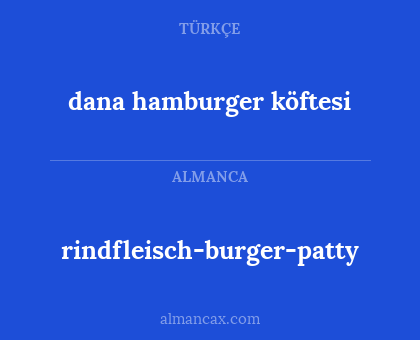 dana hamburger köftesi - rindfleisch-burger-patty