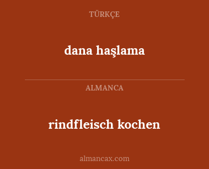 dana haşlama - rindfleisch kochen