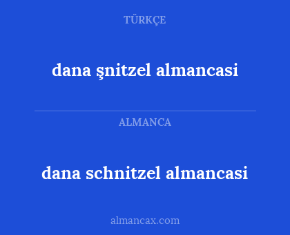 dana schnitzel almancasi - dana şnitzel almancasi