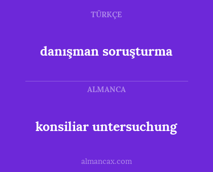 danışman soruşturma - konsiliar untersuchung