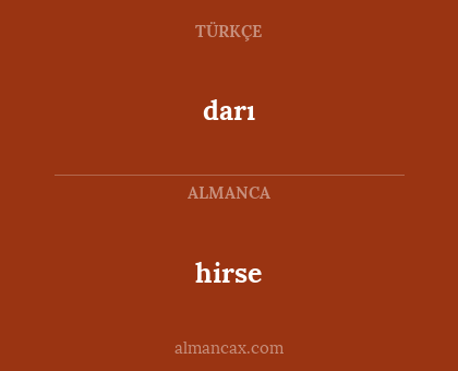 hirse - darı
