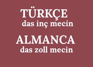 das+in%C3%A7+mecin-das+zoll+mecin.png