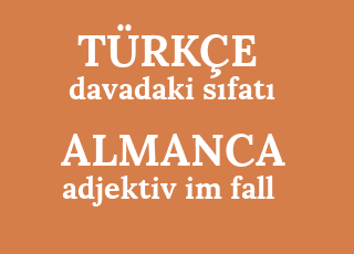 davadaki+s%C4%B1fat%C4%B1-adjektiv+im+fall.png