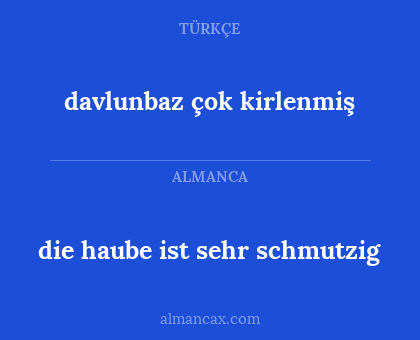 davlunbaz çok kirlenmiş - die haube ist sehr schmutzig
