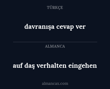 auf daş verhalten eingehen - davranışa cevap ver