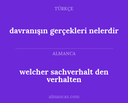 welcher sachverhalt den verhalten - davranışın gerçekleri nelerdir